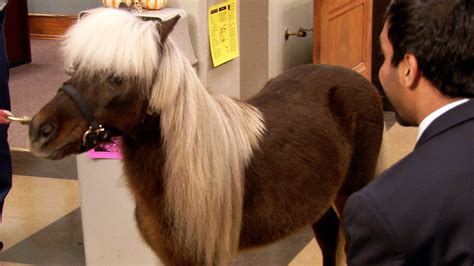 Sep 26, 2017 · No, Gideon, the miniature horse who played Li'l Sebastian is alive and well and living on a ranch in California, said a spokeswoman for A List Animals. "That program is actually a prop that was ... 